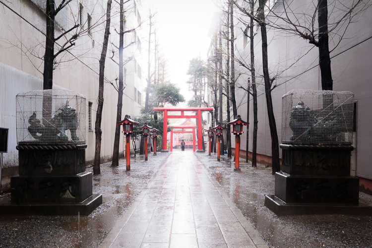 Hanazono Shrine, Shinjuku; Shinjuku Kills Me, circa 2012